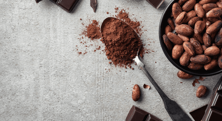 The Benefits of Cacao Powder: Choosing the Right Cacao Powder Company