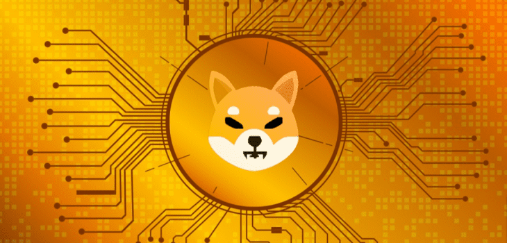 Introducing the Conversion from Shiba Inu (SHIB) to Indian Rupee (INR)